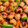 yossa43's cooksnap of when they made 鶏つみれと野菜の甘酢炒め.
