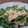 亀と空's cooksnap of when they made 豆苗と玉子のささっと炒め.