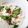 ソネチコ's cooksnap of when they made 簡単時短ヘルシー長芋とオクラ梅和え.