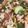 みまちゃん1112's cooksnap of when they made 豚バラと青梗菜のオイスター炒め.