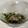 チェリチョコ's cooksnap of when they made さんまとほうれん草のおひたし！.