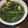 すみれおばさん's cooksnap of when they made 大根の間引き菜とあげさんの煮びたし.