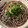 ベティ３'s cooksnap of when they made 簡単！冷やしたぬき蕎麦.