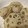 yumikwsk's cooksnap of when they made 蓮根焼くだけ～♪.