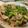 カレル777's cooksnap of when they made 簡単♪豚こまときゅうりのきんぴら炒め☆.