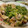 カレル777's cooksnap of when they made 簡単♪豚こまときゅうりのきんぴら炒め☆.
