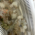 kinkinsan's cooksnap of when they made 魚屋流♪冷凍殻付き海老の下処理。.
