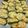 toshio39's cooksnap of when they made ピーマンのツナ玉チーズ焼き.