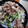 ひっこ's cooksnap of when they made 玉ねぎとサバ缶で超簡単！つまみや箸休めに.