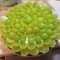 しゅうゆうけいはる母's cooksnap of when they made サラダ油　サクサク　タルト生地.