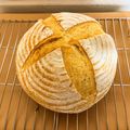 ♪ポッチ♪'s cooksnap of when they made 簡単シンプル基本のカンパーニュ.