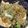 えりぺこ's cooksnap of when they made カリカリ☆じゃこ豆腐.