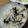 みぃくんのママ's cooksnap of when they made ふえすぎたわかめの炊き込みご飯.