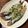 ばたみそーぱん☆'s cooksnap of when they made 簡単♪ししゃものパン粉焼き☆.