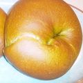 ゆらみち's cooksnap of when they made 抹茶と甘納豆のベーグル.