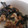 クックQD81I1☆'s cooksnap of when they made 冷凍牡蠣炊飯器でバター醤油牡蠣ご飯.