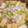 ちーゆづアーちゃん☆'s cooksnap of when they made 厚揚げと豚肉のトロっと煮♪.