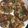 クック2H9MD0☆'s cooksnap of when they made ふわっ！カリッ！チヂミ☆.