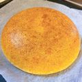 ココルナ's cooksnap of when they made 炊飯器で簡単♪米粉のマーラーカオ風.