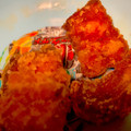 ソフコン's cooksnap of when they made 鮭の竜田揚げ風.