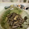 ポラリス管理栄養士's cooksnap of when they made こんにゃくときのこのピリ辛炒め.