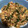 ♪チョコたんママ♪'s cooksnap of when they made 簡単！もやしでとろ～り♪台湾丼？.