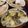 ☆はあ☆'s cooksnap of when they made 絶賛！アワビの酒蒸し.