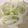葉月優希's cooksnap of when they made 万能シャキシャキ白髪ネギ【作りおき】.