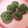 チェリチョコ's cooksnap of when they made 簡単☆椎茸のバジルマヨ焼き.