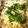 クックBLTENE☆'s cooksnap of when they made レンチンであっさり塩豚パスタ.