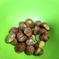 ミカリンリンリンリン's cooksnap of when they made 皮むき簡単な栗の茹で方。渋皮煮に最適！.
