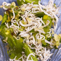 ひとこんひとこん's cooksnap of when they made レタスとしらすの和風サラダ.
