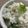 へそ曲がりクック's cooksnap of when they made しらすおろし.