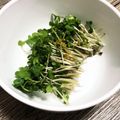 みりん調味料's cooksnap of when they made はまる！柚子胡椒ドレッシング.