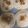 コロナで料理始めた人's cooksnap of when they made ＨＢで作る白神こだま酵母のシナモンロール.