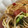 だのま's cooksnap of when they made 煮込みパスタ！きのこの和風スパゲティ.