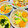 ryumi58's cooksnap of when they made 栗の五目炊き込みご飯.