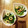 yunapi☆'s cooksnap of when they made 小松菜と塩昆布の和え物.