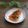 まろんかふぇ's cooksnap of when they made トマトとシソのさっぱりマリネ.