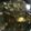 coccus's cooksnap of when they made 簡単★ヘルシーわかめスープ.