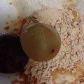リトル黒豆マーメイド's cooksnap of when they made ヨーグルトに、ぶどう&黒糖きなこ♪.