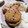 ここあo's cooksnap of when they made お弁当にも！がんものネギチーズはさみ焼き.