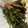 かよわた's cooksnap of when they made 【超絶簡単】エンサイ炒め♪.