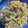 クックT20FP7☆'s cooksnap of when they made 簡単☆上海風焼きそば.