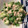 ベティ３'s cooksnap of when they made いんげんとオクラのシーチキンマヨ和え.