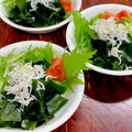 ルぴあ's cooksnap of when they made 簡単！水菜とわかめとしらすのマヨサラダ.