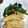 おいも39's cooksnap of when they made ささみとピーマンのごまみそ炒め.
