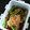 msgnb120's cooksnap of when they made 簡単ししとう甘辛炒め.
