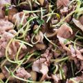 ちむき's cooksnap of when they made 味ぽん　豚バラと茄子豆苗のさっぱり炒め.