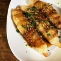 カズ形33's cooksnap of when they made 甘辛タレの肉巻きおにぎり棒.